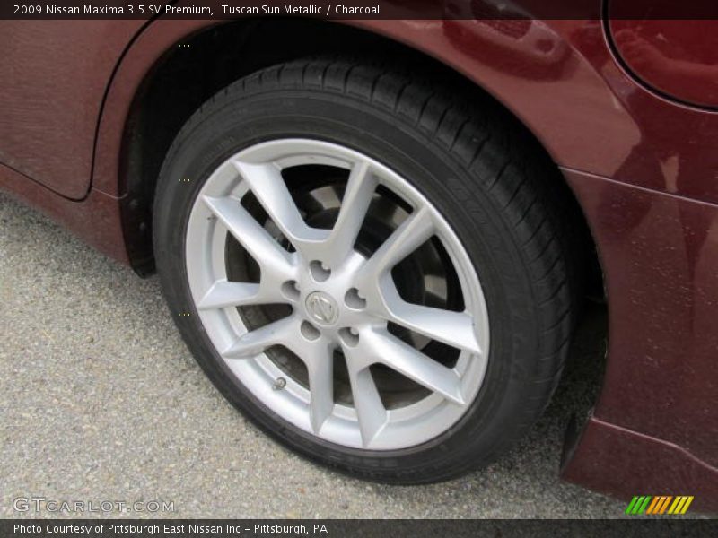 Tuscan Sun Metallic / Charcoal 2009 Nissan Maxima 3.5 SV Premium