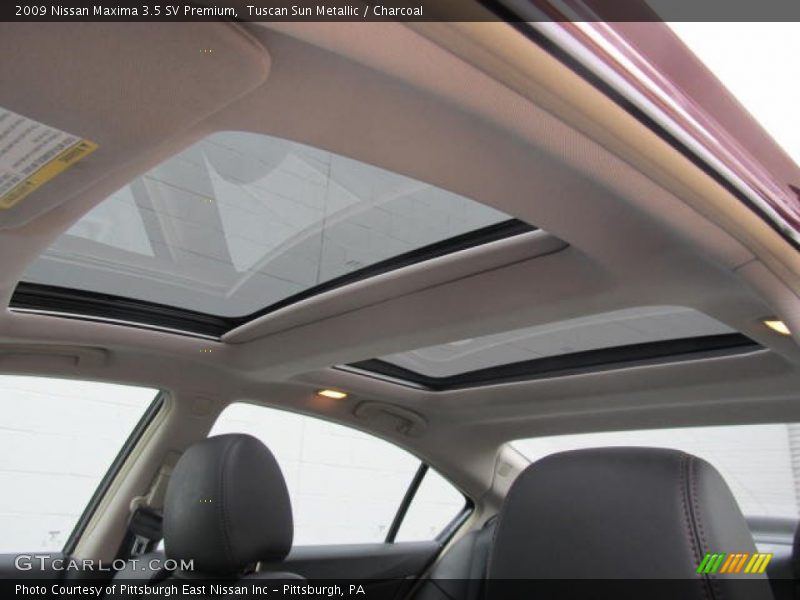 Tuscan Sun Metallic / Charcoal 2009 Nissan Maxima 3.5 SV Premium