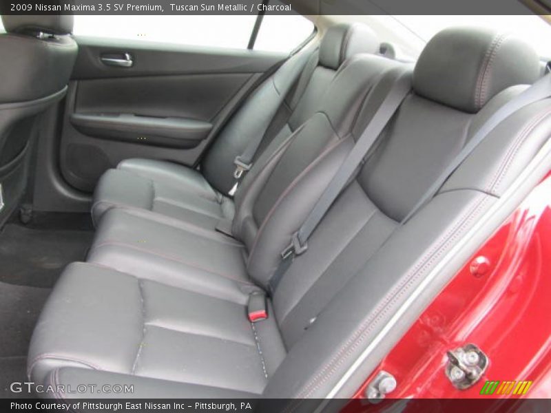Tuscan Sun Metallic / Charcoal 2009 Nissan Maxima 3.5 SV Premium