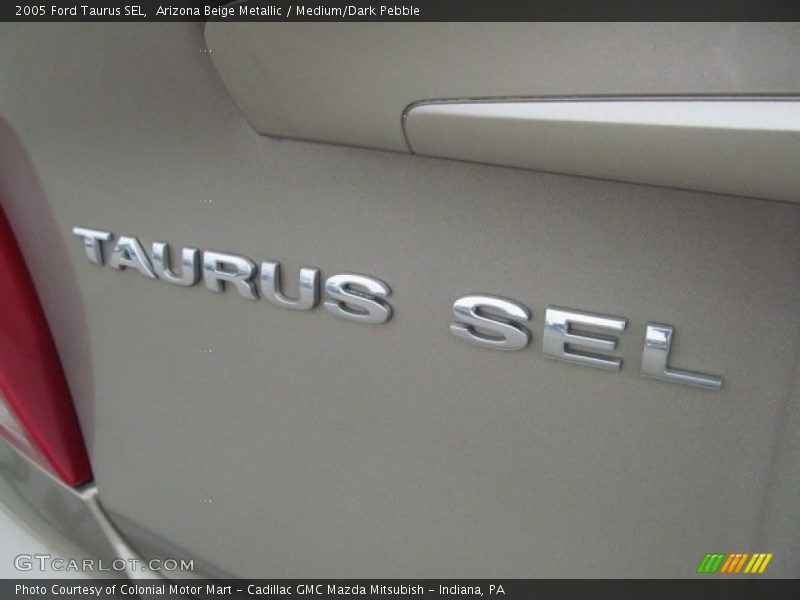 Arizona Beige Metallic / Medium/Dark Pebble 2005 Ford Taurus SEL