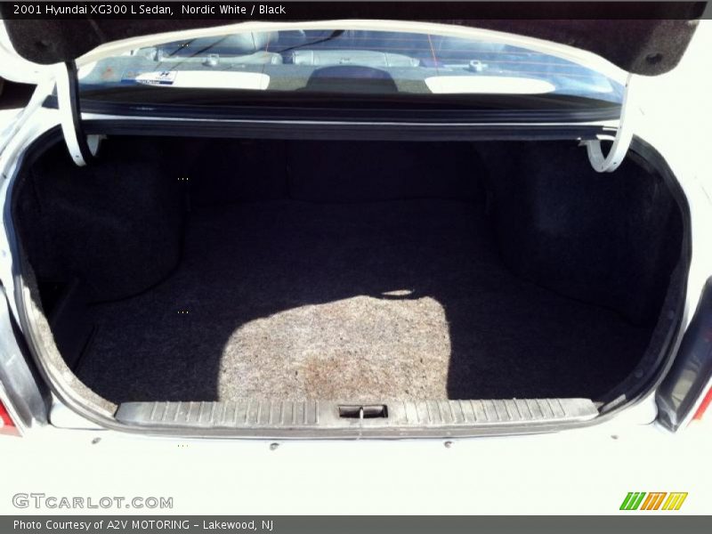 Nordic White / Black 2001 Hyundai XG300 L Sedan