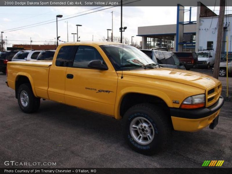 Solar Yellow / Agate 2000 Dodge Dakota Sport Extended Cab 4x4