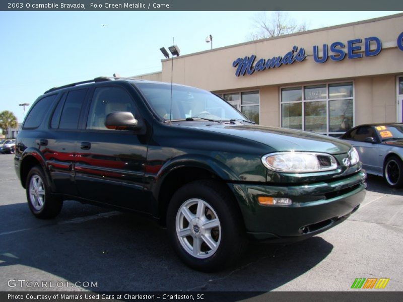 Polo Green Metallic / Camel 2003 Oldsmobile Bravada