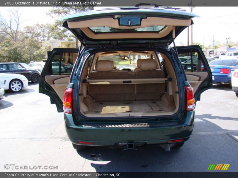 Polo Green Metallic / Camel 2003 Oldsmobile Bravada