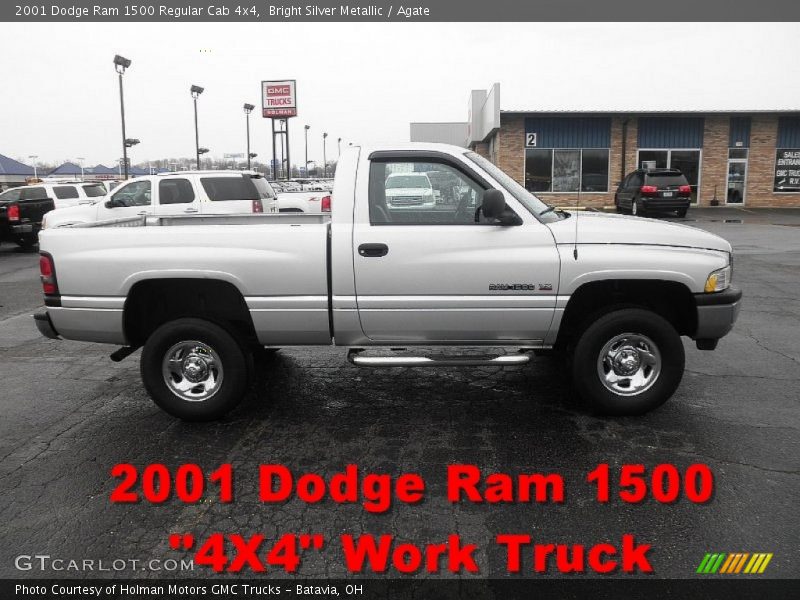 Bright Silver Metallic / Agate 2001 Dodge Ram 1500 Regular Cab 4x4