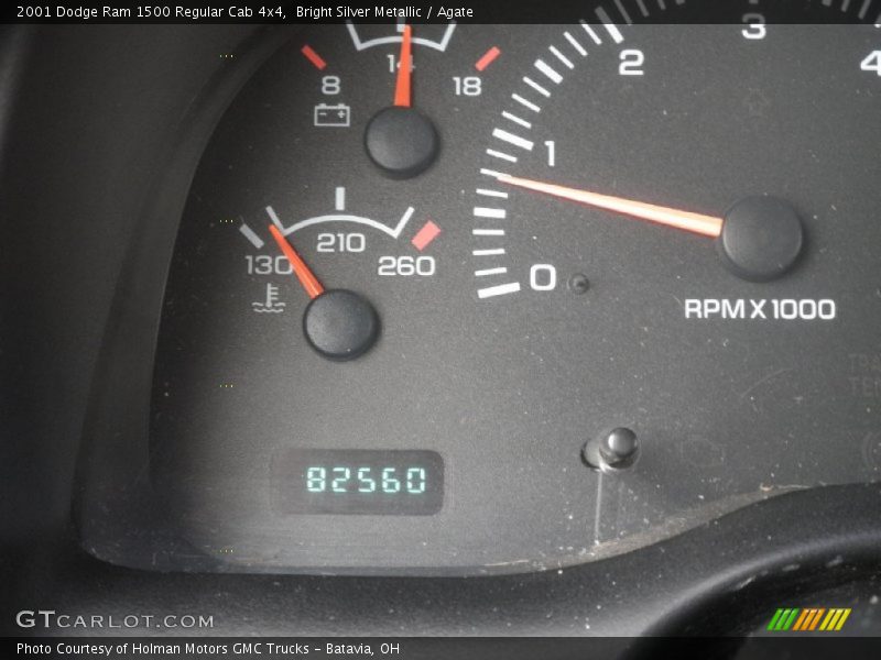 Bright Silver Metallic / Agate 2001 Dodge Ram 1500 Regular Cab 4x4