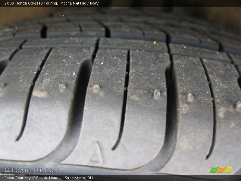 Mocha Metallic / Ivory 2009 Honda Odyssey Touring