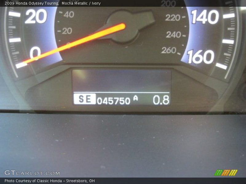 Mocha Metallic / Ivory 2009 Honda Odyssey Touring