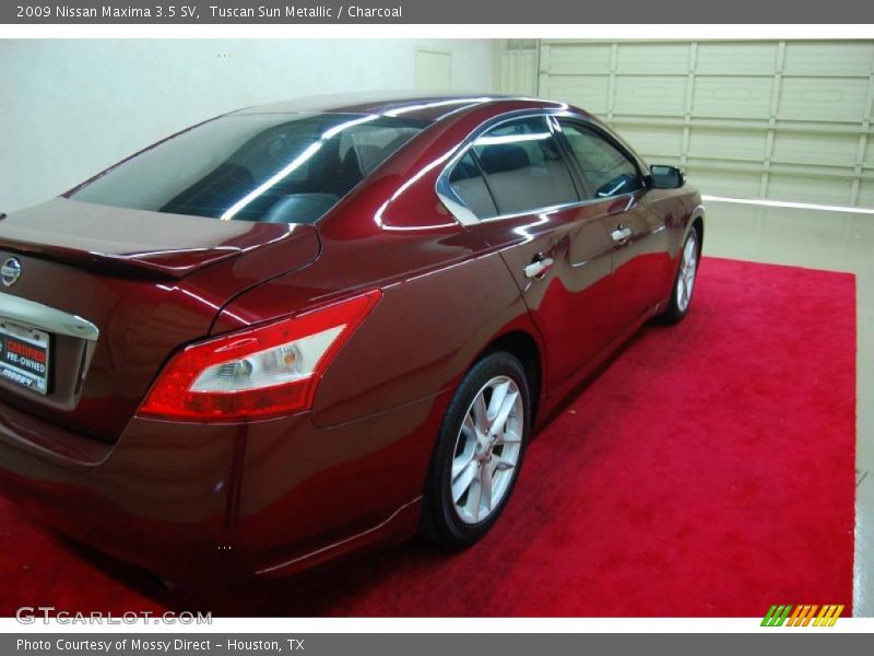 Tuscan Sun Metallic / Charcoal 2009 Nissan Maxima 3.5 SV