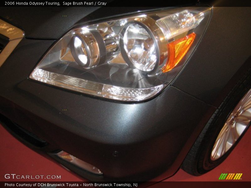 Sage Brush Pearl / Gray 2006 Honda Odyssey Touring