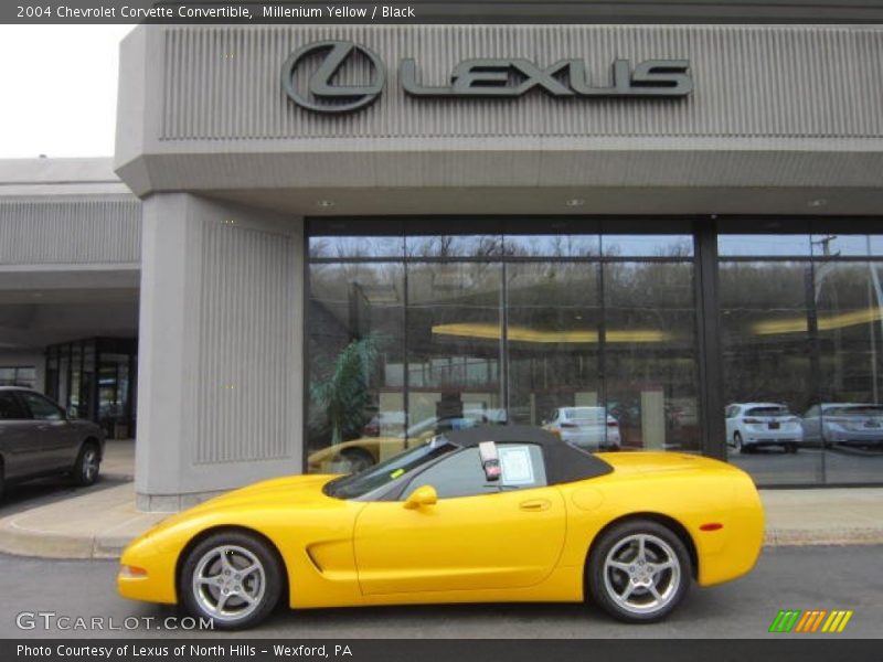 Millenium Yellow / Black 2004 Chevrolet Corvette Convertible