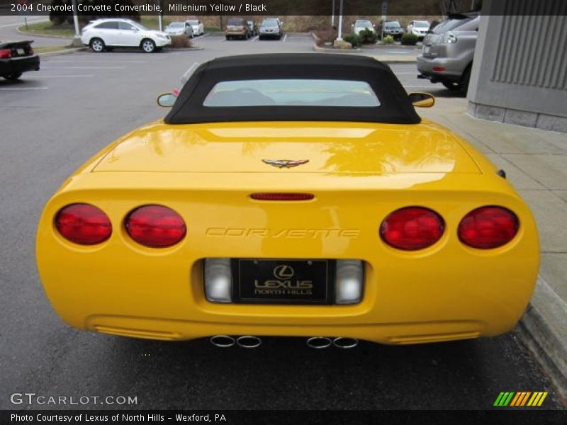 Millenium Yellow / Black 2004 Chevrolet Corvette Convertible