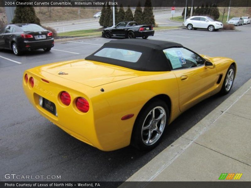 Millenium Yellow / Black 2004 Chevrolet Corvette Convertible