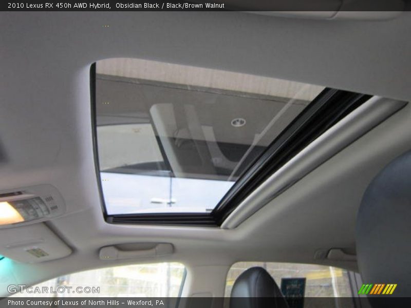 Obsidian Black / Black/Brown Walnut 2010 Lexus RX 450h AWD Hybrid
