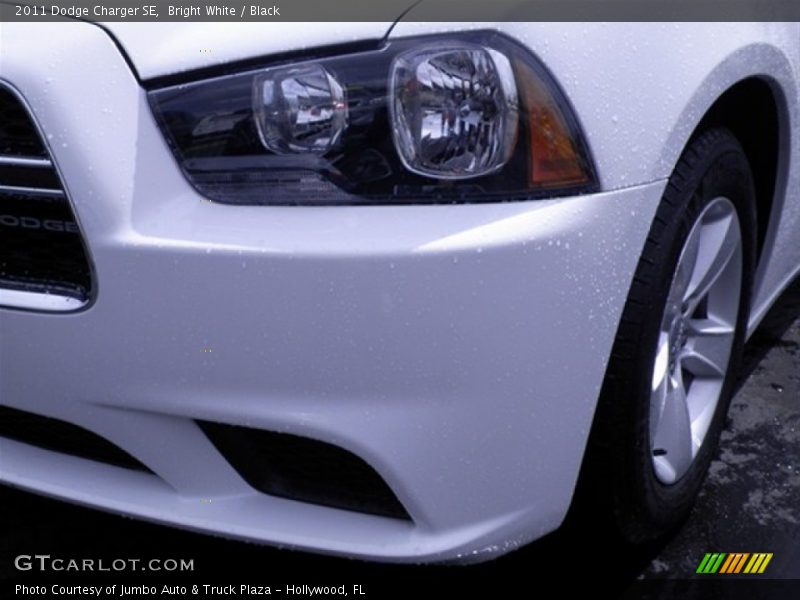 Bright White / Black 2011 Dodge Charger SE
