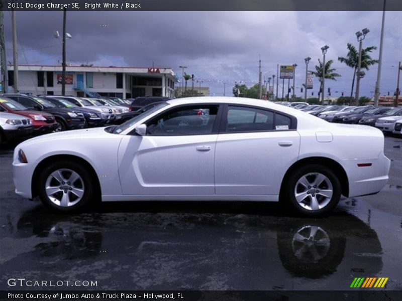 Bright White / Black 2011 Dodge Charger SE