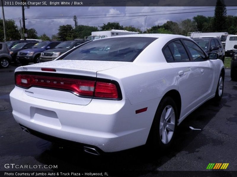 Bright White / Black 2011 Dodge Charger SE