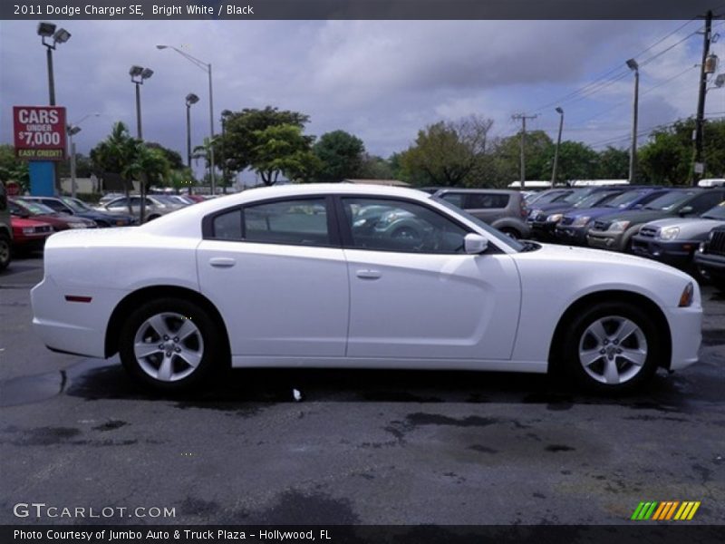 Bright White / Black 2011 Dodge Charger SE