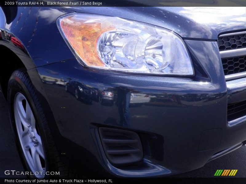 Black Forest Pearl / Sand Beige 2009 Toyota RAV4 I4