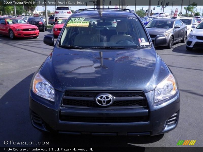Black Forest Pearl / Sand Beige 2009 Toyota RAV4 I4