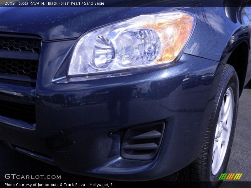Black Forest Pearl / Sand Beige 2009 Toyota RAV4 I4