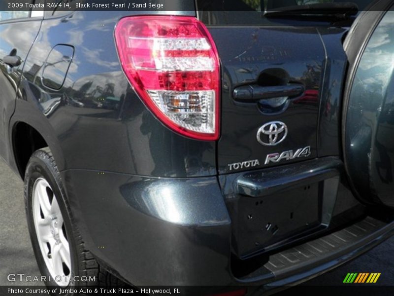 Black Forest Pearl / Sand Beige 2009 Toyota RAV4 I4