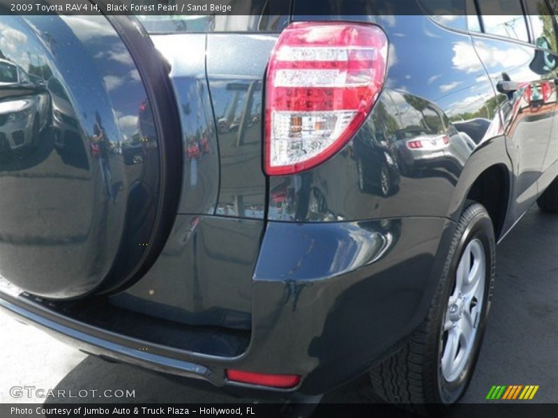 Black Forest Pearl / Sand Beige 2009 Toyota RAV4 I4