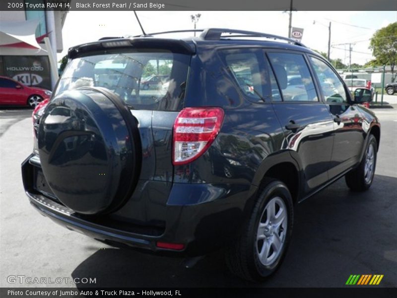 Black Forest Pearl / Sand Beige 2009 Toyota RAV4 I4