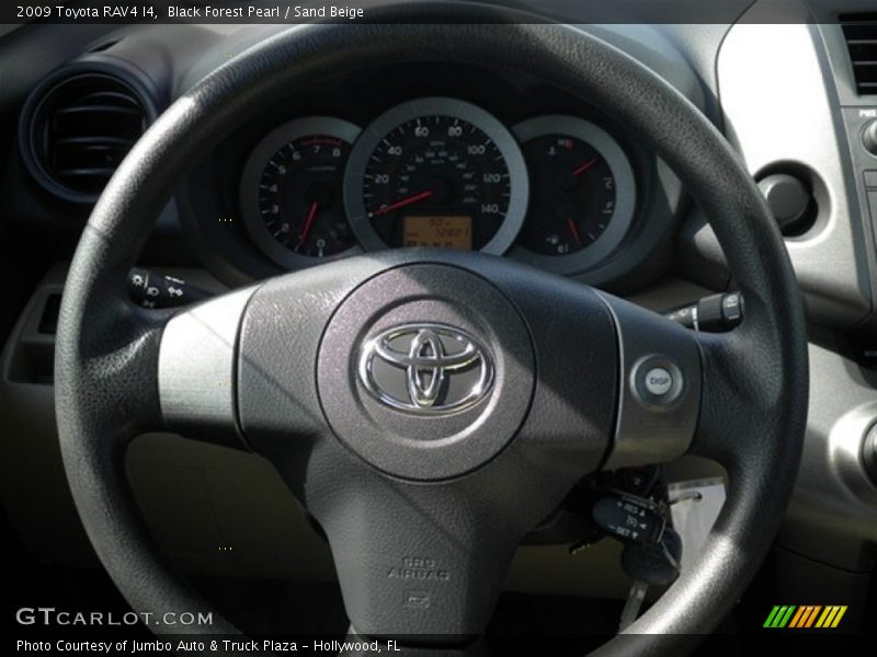Black Forest Pearl / Sand Beige 2009 Toyota RAV4 I4