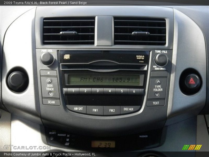Black Forest Pearl / Sand Beige 2009 Toyota RAV4 I4