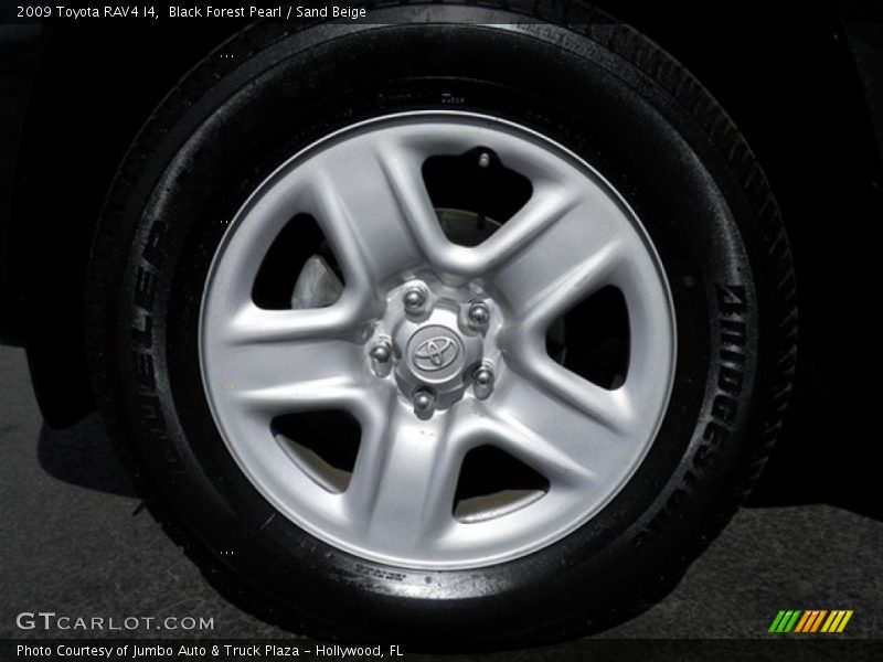 Black Forest Pearl / Sand Beige 2009 Toyota RAV4 I4