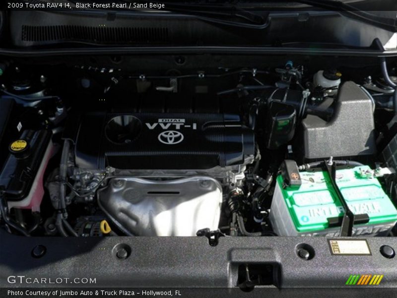 Black Forest Pearl / Sand Beige 2009 Toyota RAV4 I4