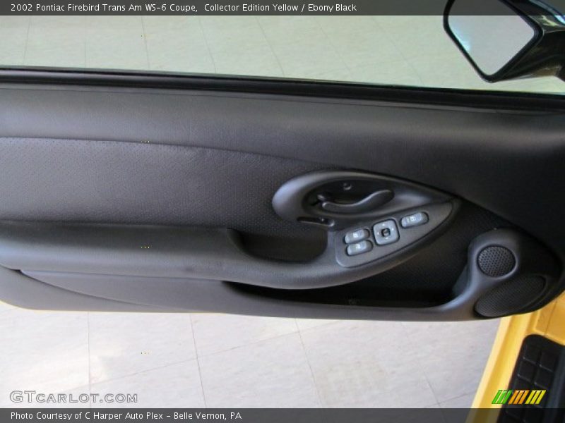 Door Panel of 2002 Firebird Trans Am WS-6 Coupe