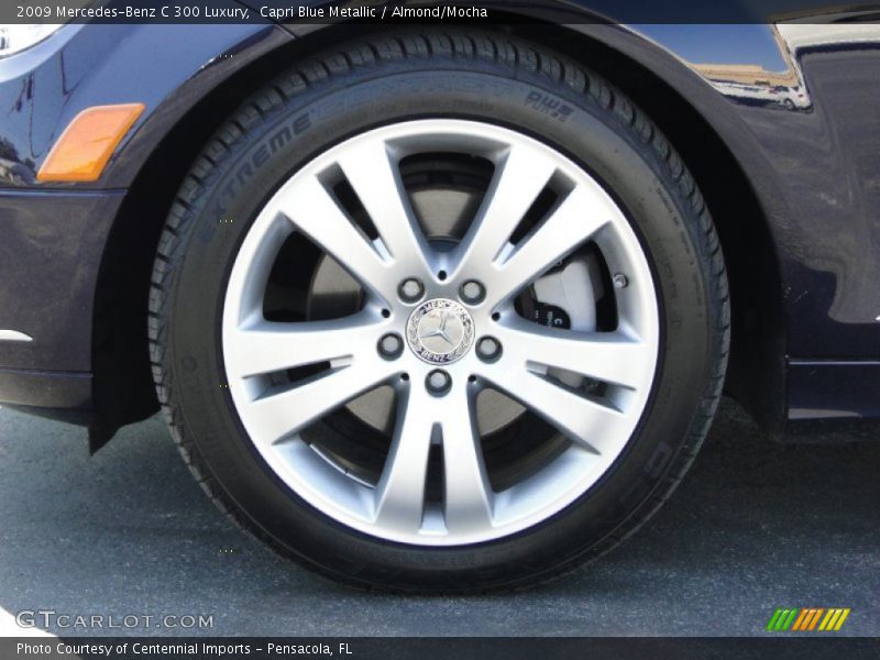 Capri Blue Metallic / Almond/Mocha 2009 Mercedes-Benz C 300 Luxury