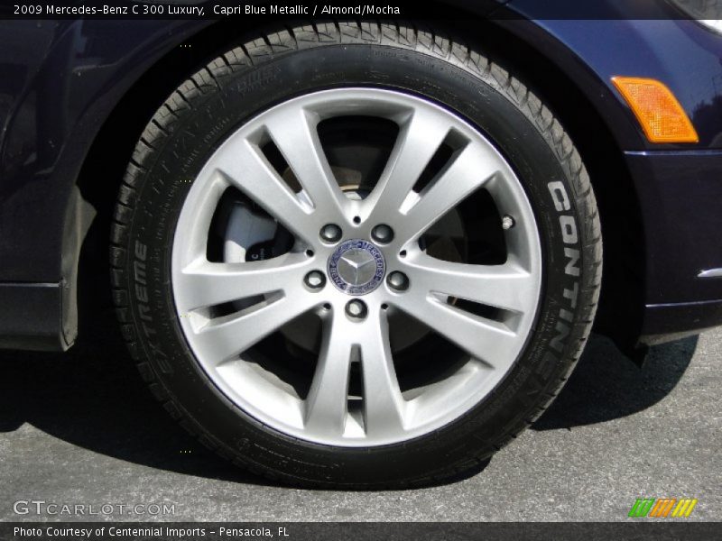 Capri Blue Metallic / Almond/Mocha 2009 Mercedes-Benz C 300 Luxury