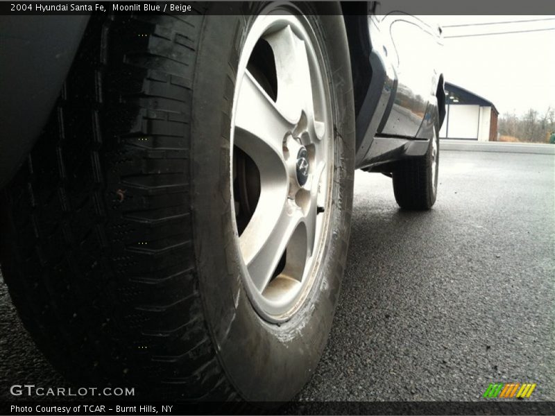 Moonlit Blue / Beige 2004 Hyundai Santa Fe