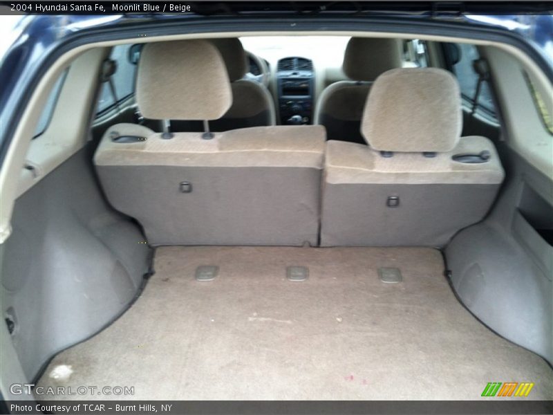 Moonlit Blue / Beige 2004 Hyundai Santa Fe