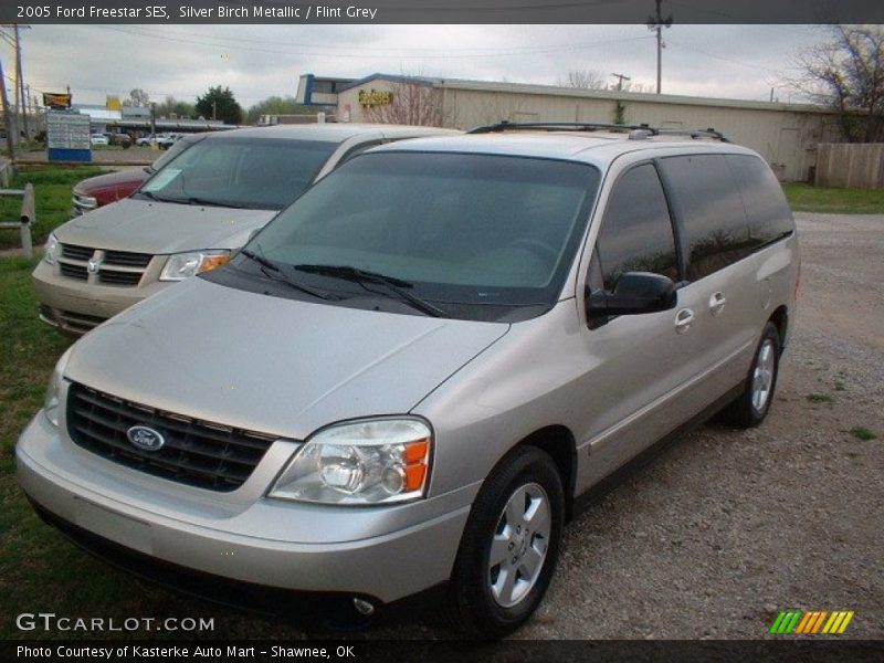 Silver Birch Metallic / Flint Grey 2005 Ford Freestar SES