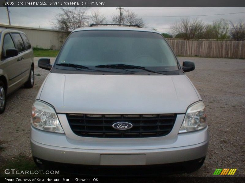 Silver Birch Metallic / Flint Grey 2005 Ford Freestar SES