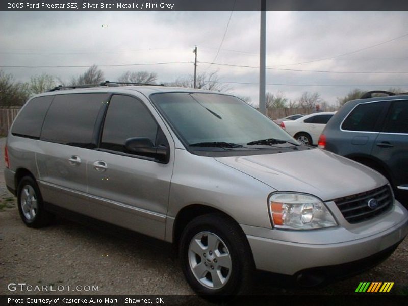 Silver Birch Metallic / Flint Grey 2005 Ford Freestar SES