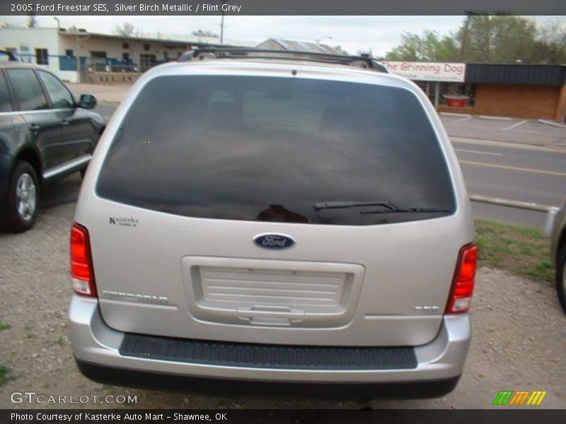 Silver Birch Metallic / Flint Grey 2005 Ford Freestar SES