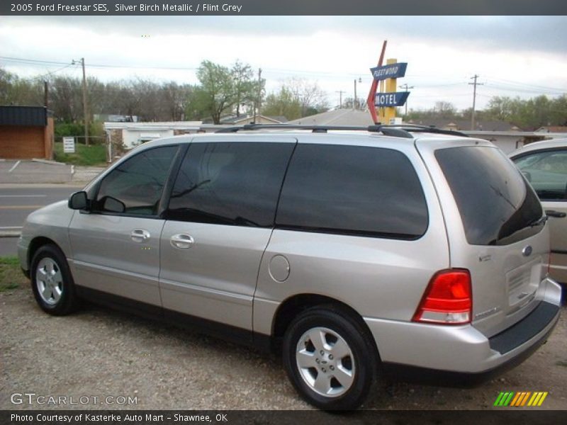 Silver Birch Metallic / Flint Grey 2005 Ford Freestar SES