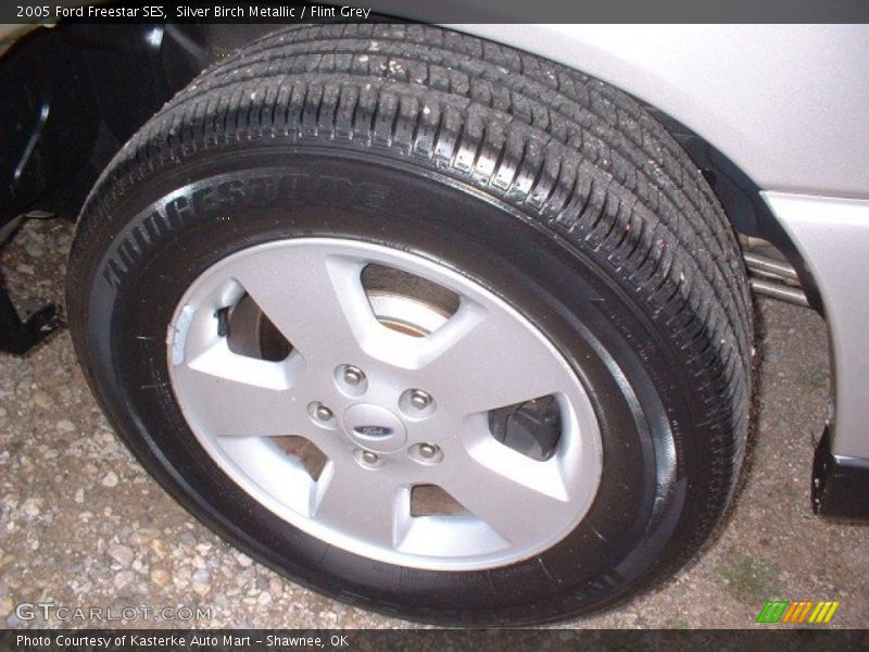 Silver Birch Metallic / Flint Grey 2005 Ford Freestar SES