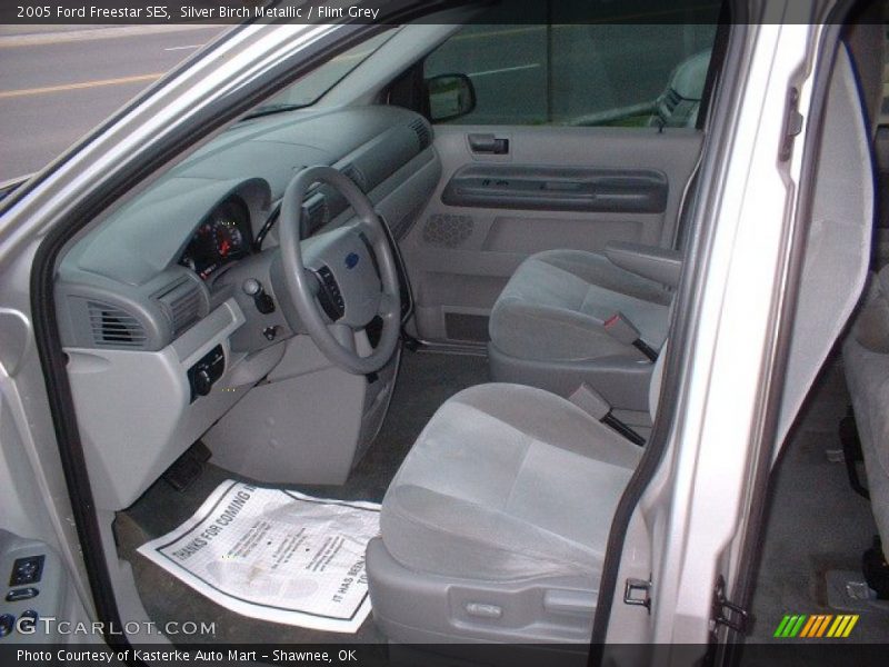 Silver Birch Metallic / Flint Grey 2005 Ford Freestar SES