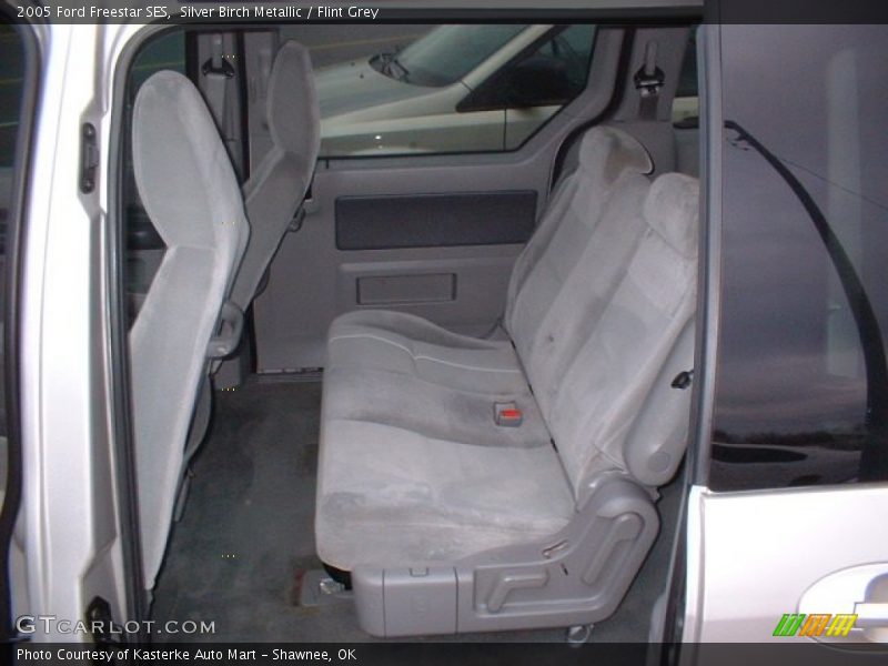 Silver Birch Metallic / Flint Grey 2005 Ford Freestar SES