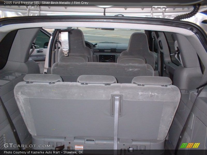 Silver Birch Metallic / Flint Grey 2005 Ford Freestar SES