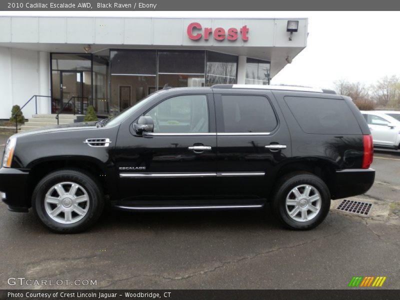 Black Raven / Ebony 2010 Cadillac Escalade AWD