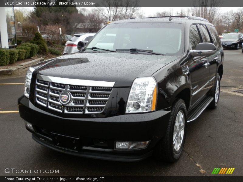 Black Raven / Ebony 2010 Cadillac Escalade AWD