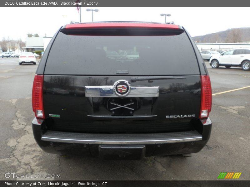 Black Raven / Ebony 2010 Cadillac Escalade AWD