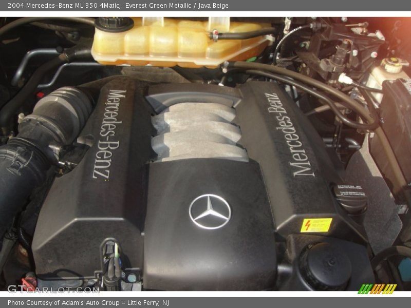 Everest Green Metallic / Java Beige 2004 Mercedes-Benz ML 350 4Matic